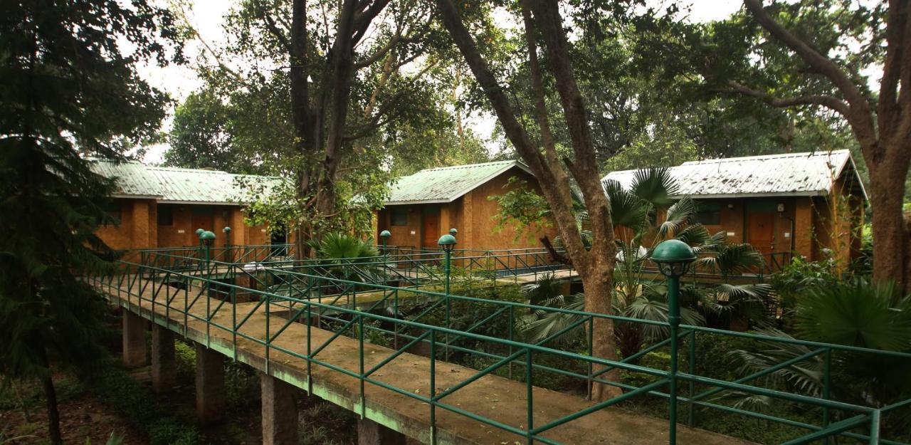 Mpt White Tiger Forest Lodge Tāla Buitenkant foto